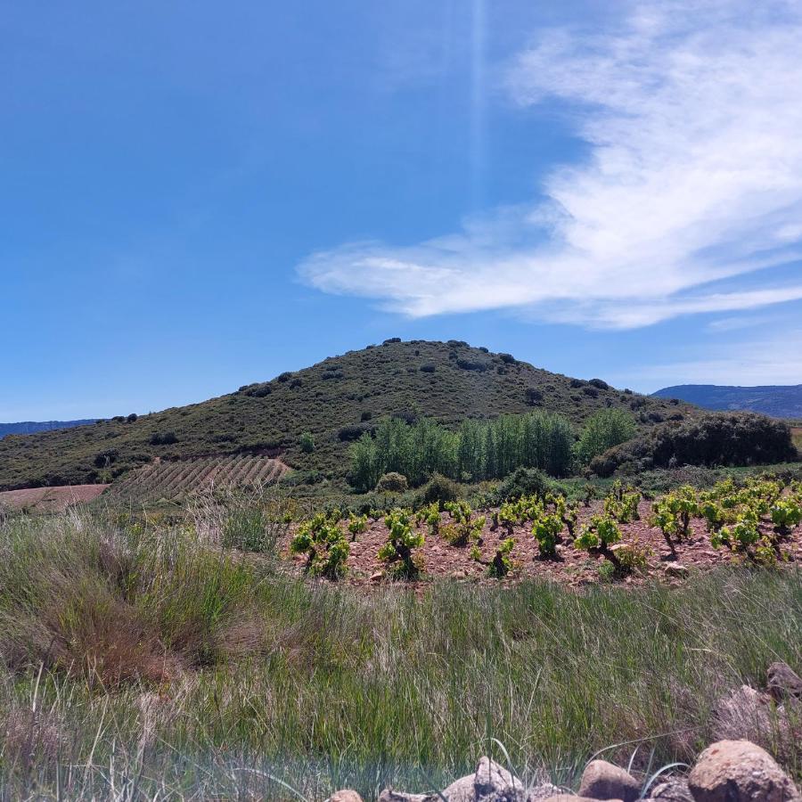Sojuela Turismo Golf Naturaleza Y Vino Exterior foto